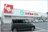 スギ薬局小坂井店（320m）