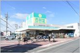 杏林堂城北店（1020m）